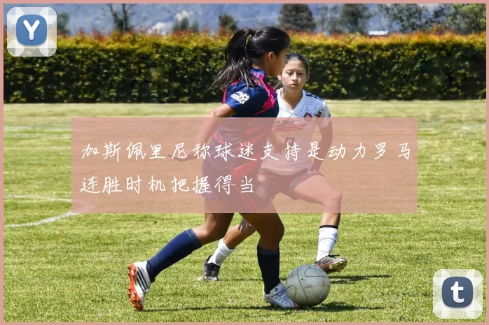 加斯佩里尼称球迷支持是动力罗马连胜时机把握得当