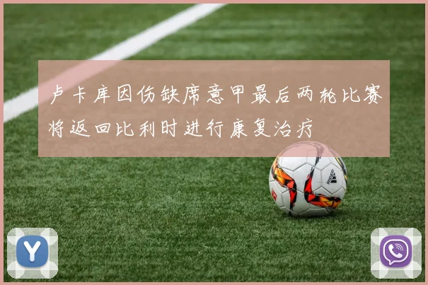 卢卡库因伤缺席意甲最后两轮比赛将返回比利时进行康复治疗